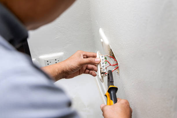 Best Electric Panel Repair  in Karnes City, TX